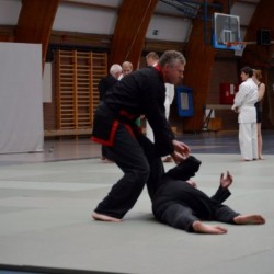 dsc 0175 - Sportraad Zaventem 